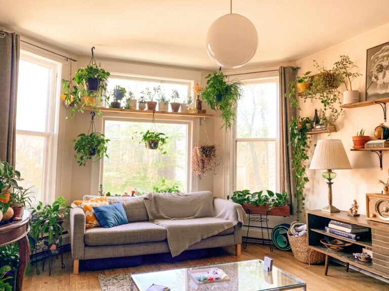 a living room with multiple plants