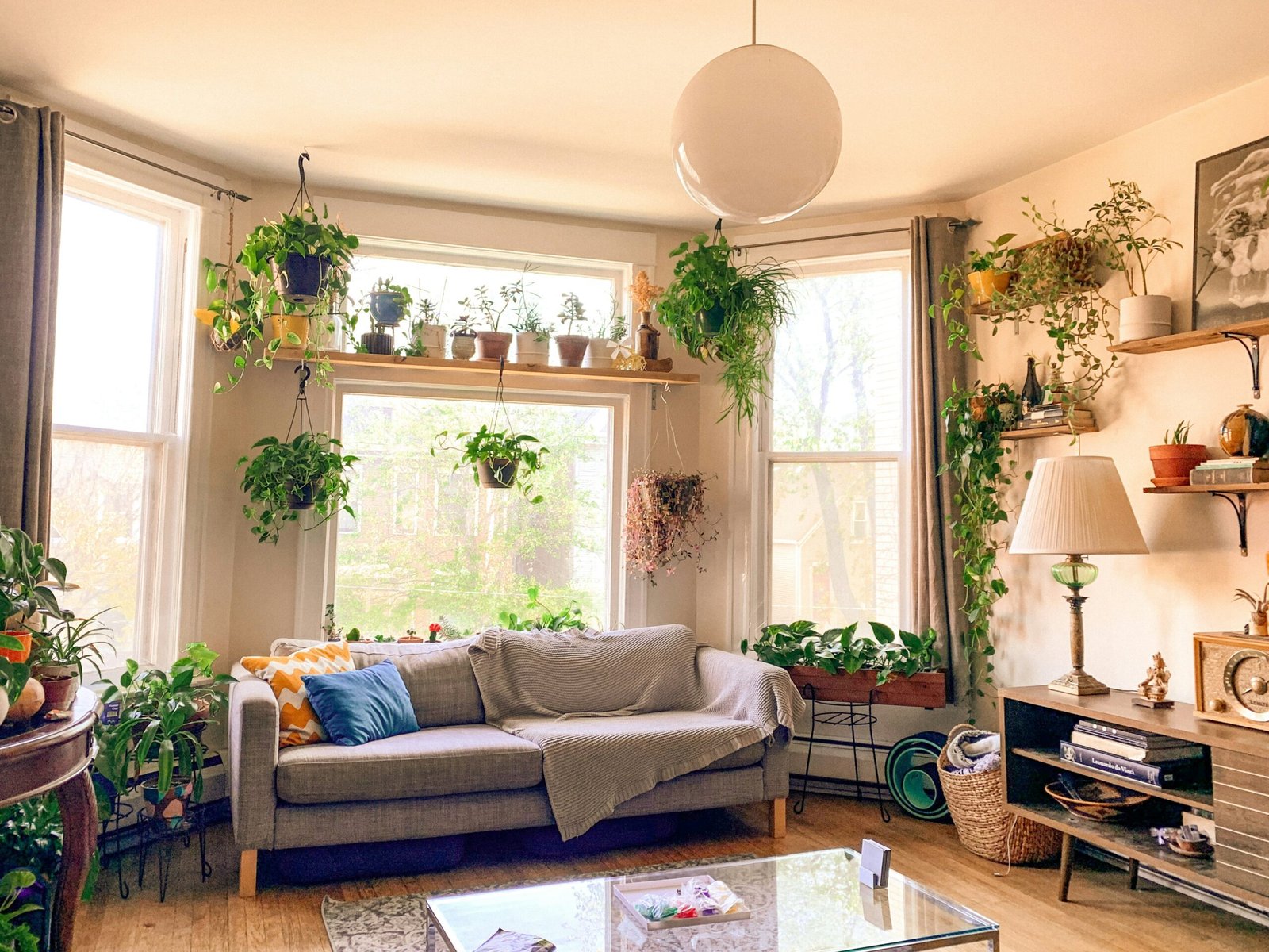 a living room with multiple plants