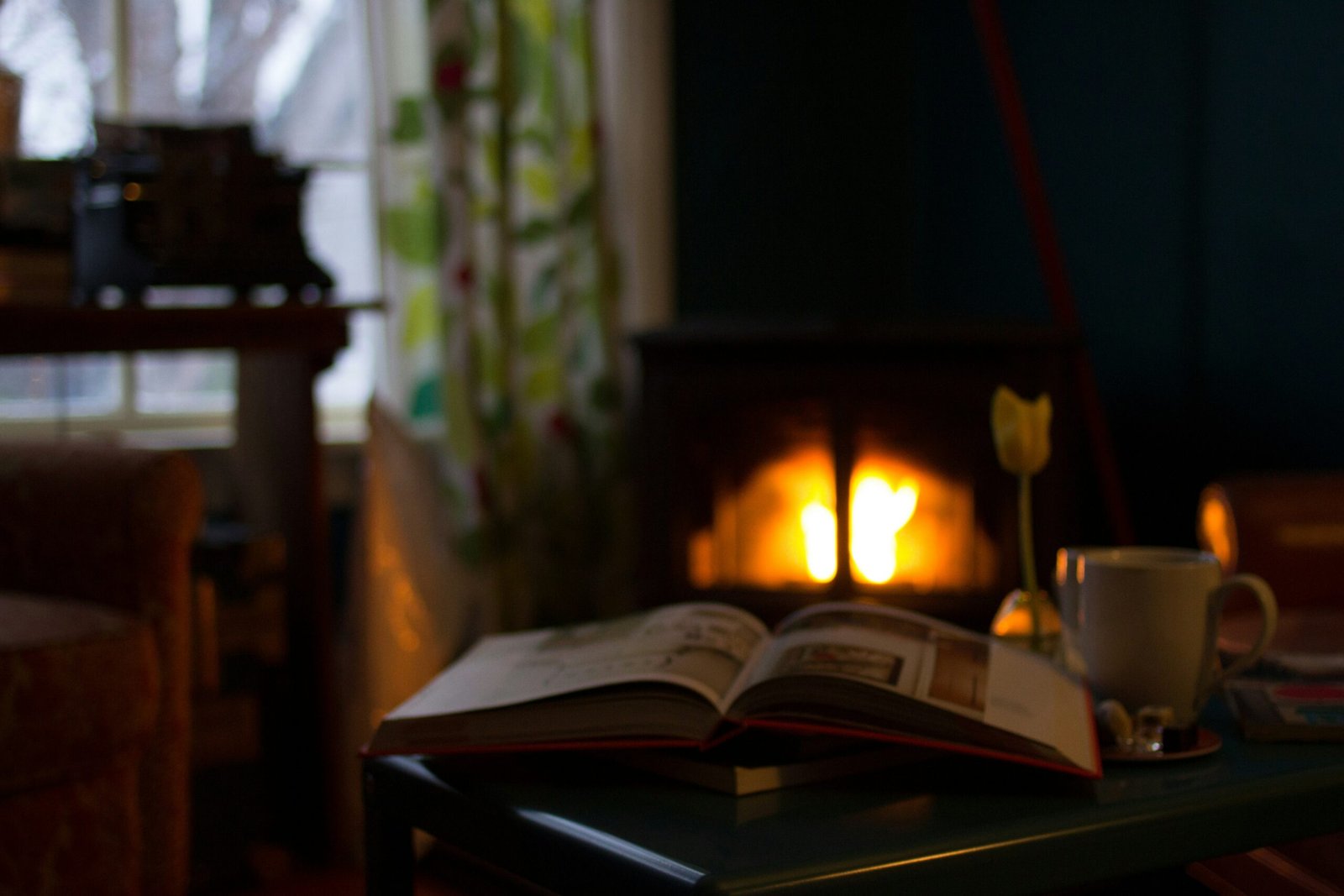 a cozy home with a fire place and open book
